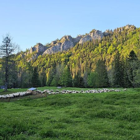 Gosciniec Kuznice Apartment Zakopane Bagian luar foto